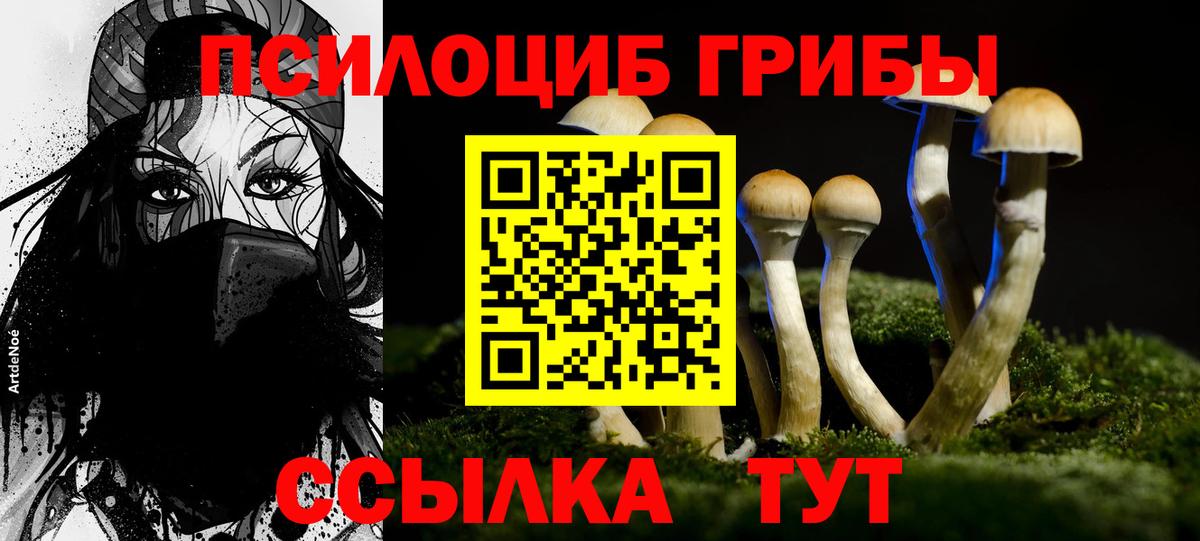 Галлюциногенные грибы Psilocybine cubensis  Вход с VPN  Гурьевск 