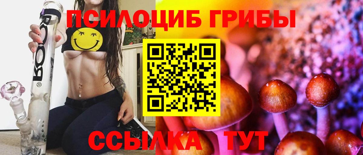 Галлюциногенные грибы MAGIC MUSHROOMS Гурьевск