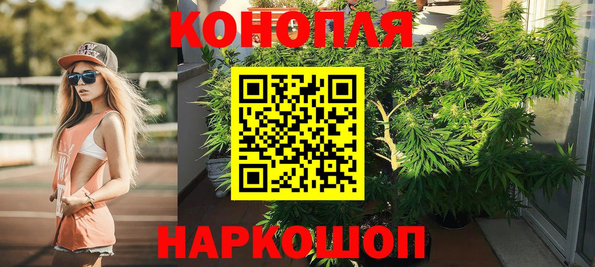 Бошки Шишки план  МАРИХУАНА тримм  Шишки марихуана семена  Вход с VPN  Каннабис SATIVA & INDICA  Гурьевск 
